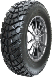 Шины Avatyre 245/75 R16 116Q Avatyre AGRESSOR всесезон не шип. арт. (2457516) (фото)