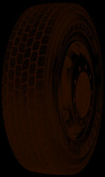 Шины грузовые Leao 315/80 R22,5 156/150L LEAO KTD300 (1356900980) 20 сл. Ведущая MS TL Всесезонные не шип. (фото)
