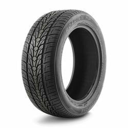 Шины Roadstone 305/45 R22 118V ROADSTONE ROADIAN HP Лето XL (фото)